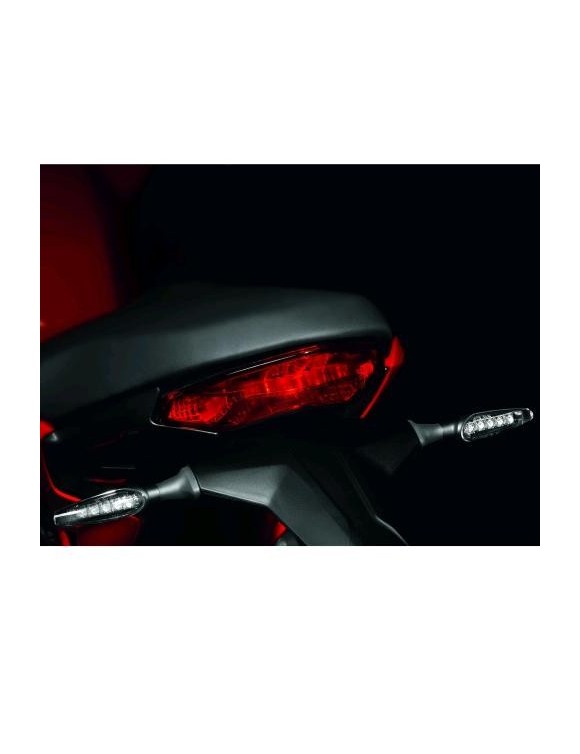 Pair of dynamic LED turning indicators Ducati 96680961BA