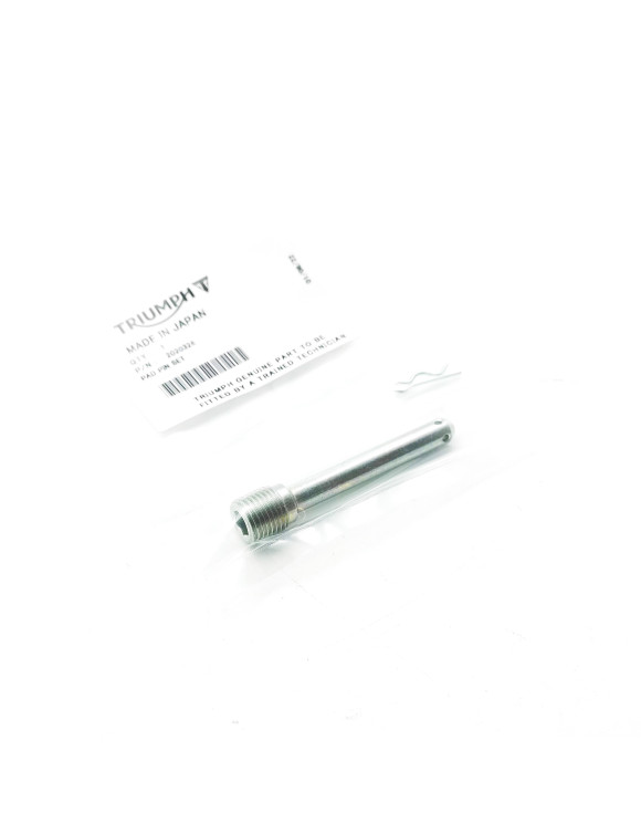 Perno Pinza Freno Anteriore, Ricambio Originale Triumph T2020326