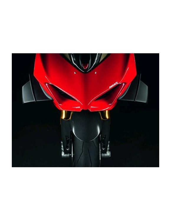 Front carbon fender Ducati Panigale V2