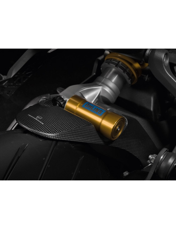 Kit parafango Posteriore in Carbonio, 96980861A, Ducati Supersport 950 / Monster 1200 - 2