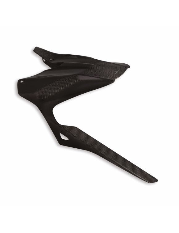 Carbon Rear Fender 96981581AA Ducati Diavel V4 - 1