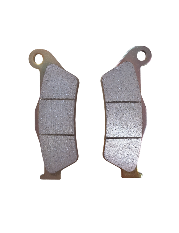 Pair of Rear Brake Pads 61321161A Multistrada 950-V2-V4-1200-1260 - 1
