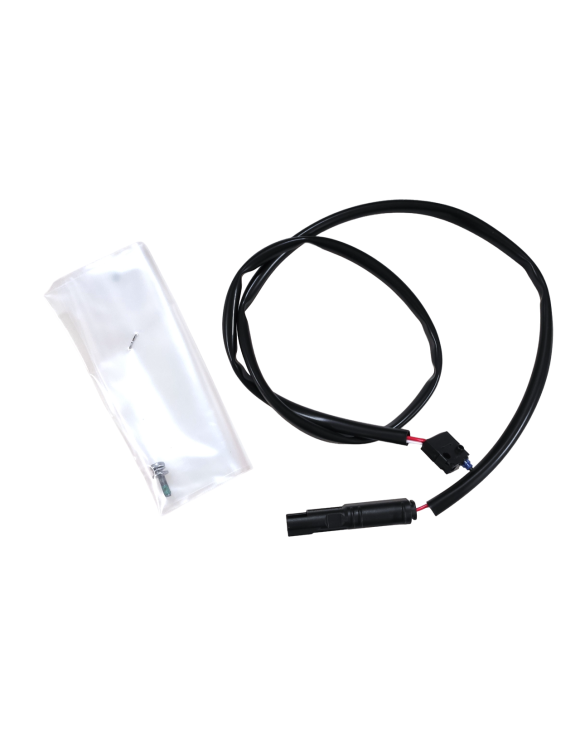 Microinterruttore Pompa Freno Anteriore 53941012A Panigale V2, Multistrada V4, Streetfigher V2/V4 - 1