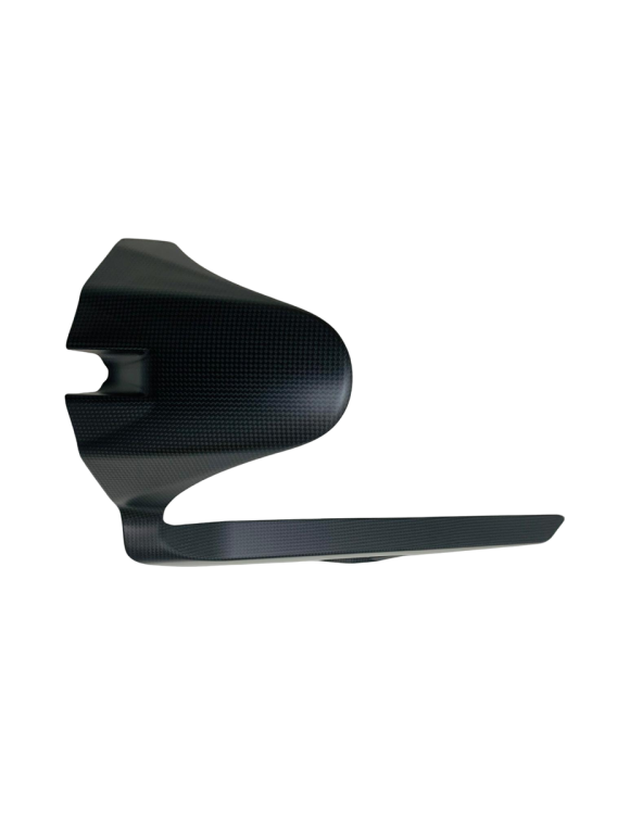 Carbon-Heckfender 96980561A Ducati Monster 821 - 1