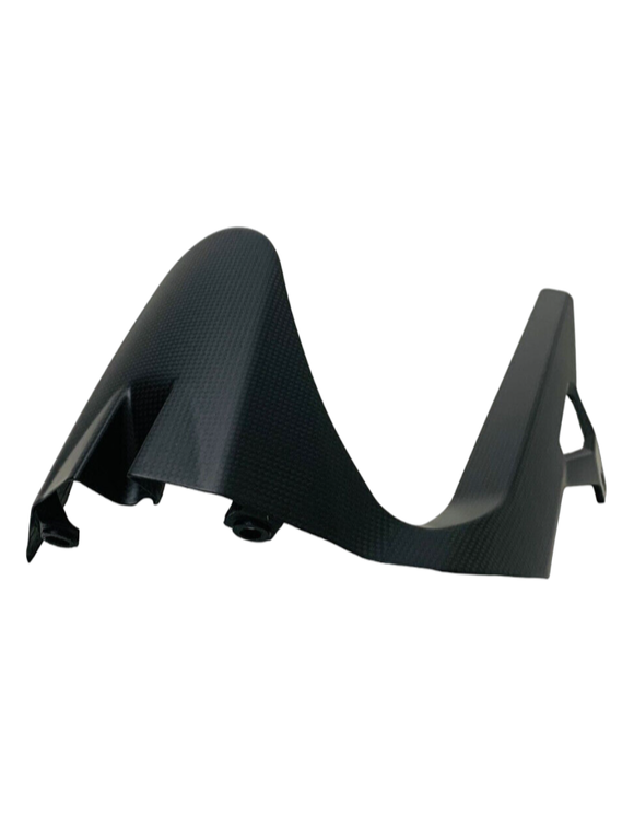 Carbon-Heckfender 96980561A Ducati Monster 821 - 2