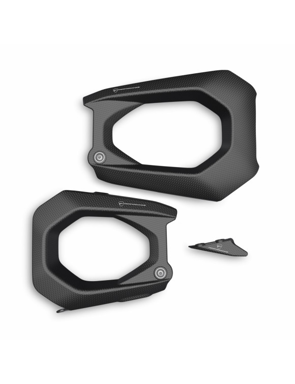 Double-sided swingarm carbon protection,96981811AA, Ducati Panigale V4 - 1