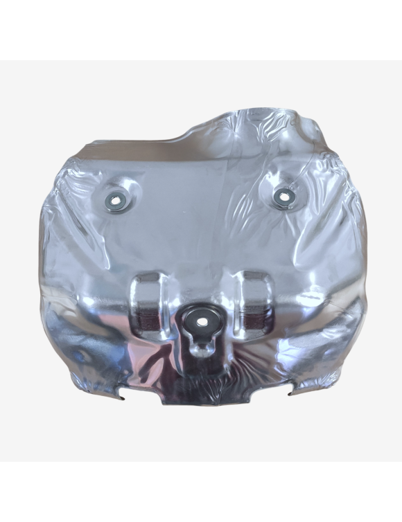 Platte, Abgaswärmeisolator 46012901A Ducati Desmosedici RR - 1