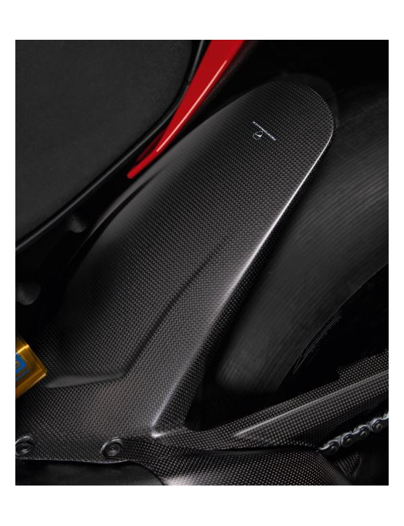 Carbon hinterer Kotflügel Auspuffanlage Panigale Ducati V4 - 2