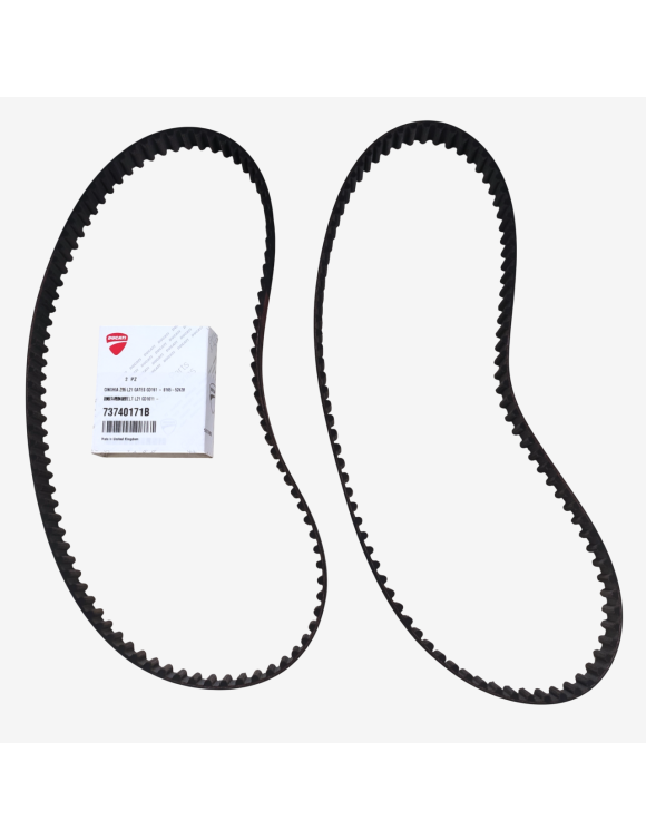 Par de correas de distribución Z95 L21 73740171B  Ducati 748 R Monoplaza MY00 - 1