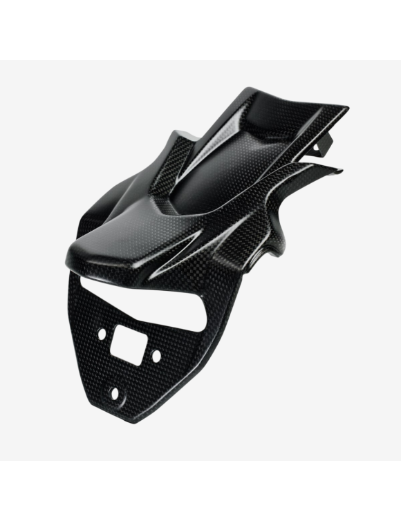 Carbon License Plate Cover, 96981091A, Ducati Multistrada 1260 - 1