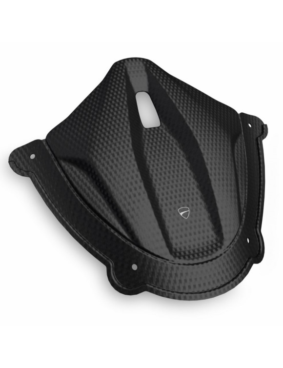 Carbon Armaturenbrettabdeckung 96981981AA Ducati Panigale V4 / V4S - 1