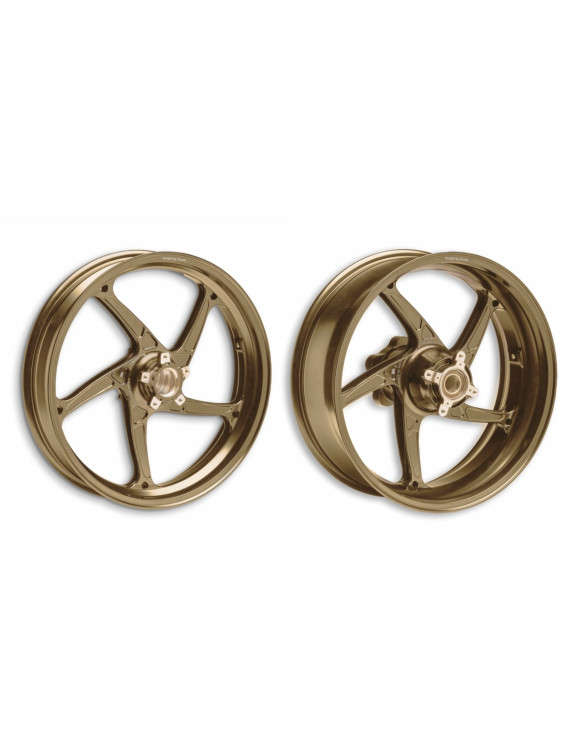 Par de Llantas Doradas Aligeradas 96380253AD para Ducati Panigale V4 / Streetfighter V4 - 1